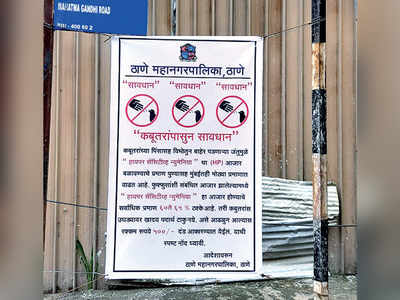 Thane: Now, pay Rs 500 fine for feeding pigeons