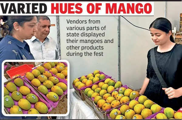 Konkan Flavours: Mango, Millet Fest Draws Crowds