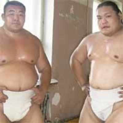 Sumo wrestlers to strut their stuff in dhoti, pagdi at Mood-I