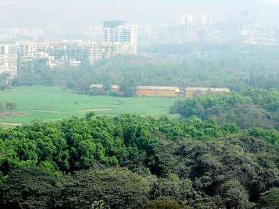 Aarey tree cutting: Congress justifies walk-out; Milind Deora asks LoP to file affidavit opposing BMC’s decision