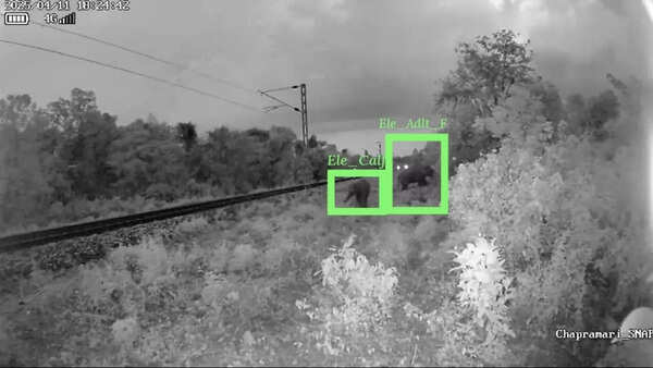Can technology stop the tragedy in Bengal’s forests?