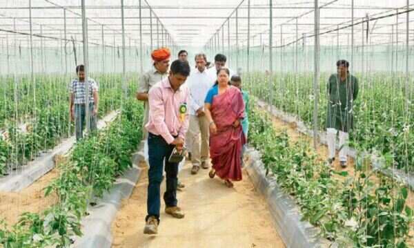 Rajasthan reaps rich dividend of India-Israel cooperation