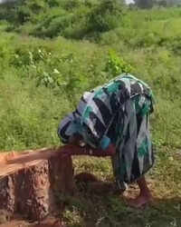 &lsquo;Like losing a child&rsquo;: 85-year-old woman breaks down after peepal tree she nurtured for decades is cut