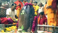 Lok Sabha polls: Priyanka Gandhi offers prayers at Mahakaleshwar Temple in Ujjain 