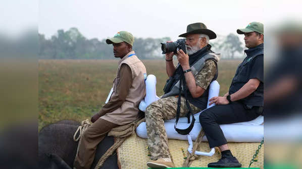 PM Modi's 'elephant safari'