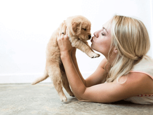 Your pet is rest assured