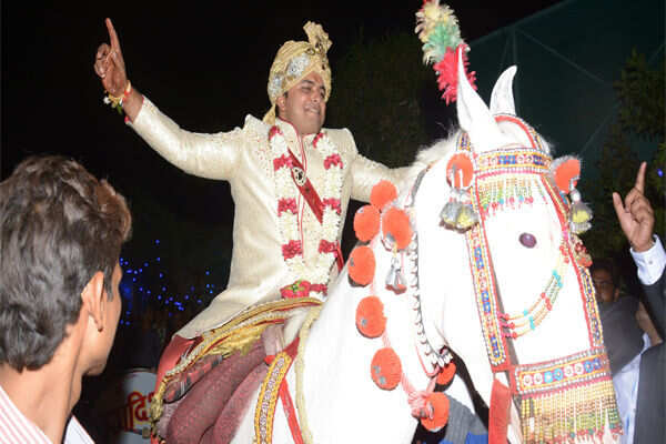 Even the mare was seenshaking a leg at the baraat of Abhinav Jaiswal at Radisson blu in Nagpur