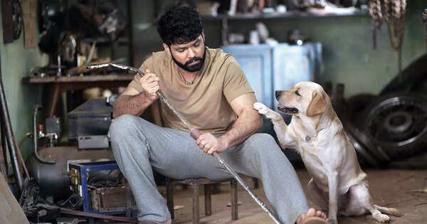 Karnataka State Film Awards 2021: Rakshit, Archana bag Best Actor, Actress; Yuvarathnaa named Best Popular Film