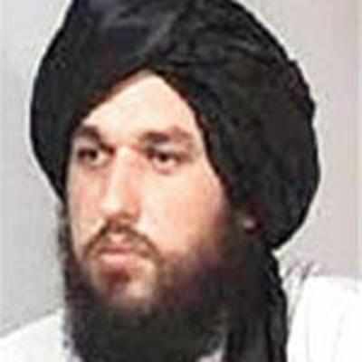 Top Haqqani leader captured in Afghan