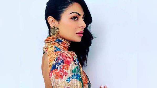 ​Neeru Bajwa: 5 Times the actress clapped back at haters and trolls