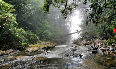 Stay out of Agumbe, trekkers told