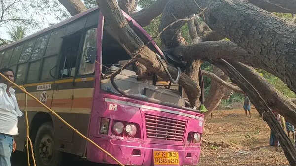 Passengers escape unhurt after tree falls on govt bus in Dharmapuri