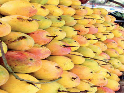 The truth about mangoes