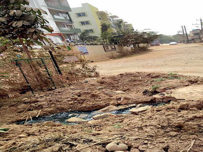 Belathur residents knock keep bag of woes on MLA’s table