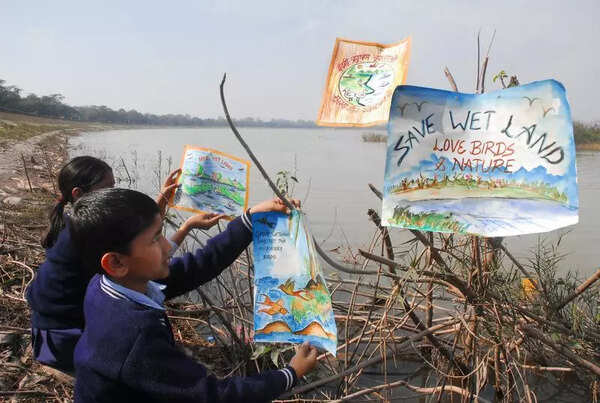 Punjab wetlands see dip in bird numbers, rise in species diversity