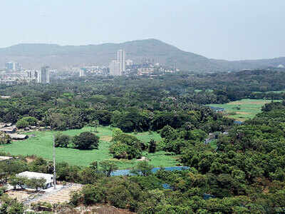 MMRDA’s U-turn on Aarey land