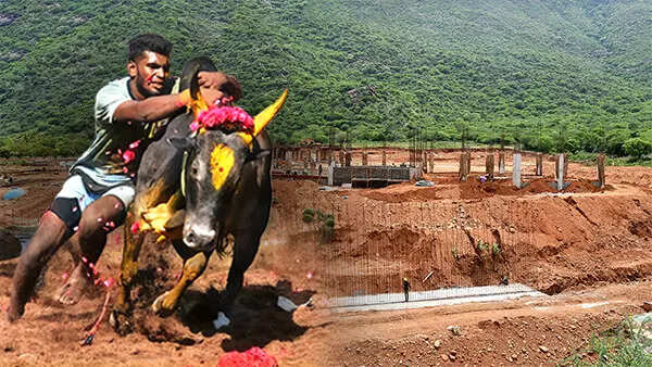Jallikattu? Book a seat at Tamil Nadu’s 'colosseum'