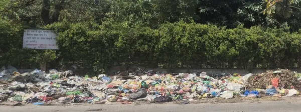 Trading in trash: Ludhiana’s industrial hubs turning dumps