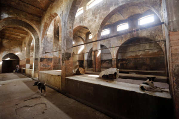 Five BJP-led states turn heat on illegal abattoirs