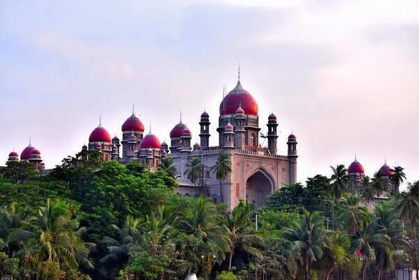High court pulls up HYDRAA over illegal construction in Salkam Cheruvu FTL area