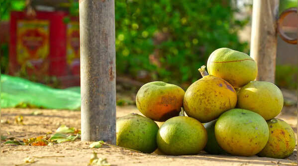 Rare fruits of India