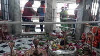 Nag Panchami 2020: Devotees offer prayers at temple in Prayagraj 
