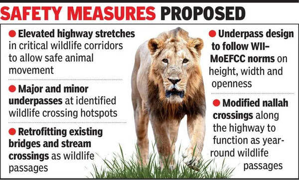 New two-lane highway in lion corridor, safety passages mapped