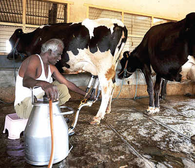 Leave milk co-ops alone: HC