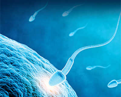 Scientists find how egg and sperm fuse
