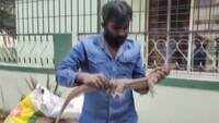 On cam: Giant Bengal monitor lizard rescued in Bengaluru 