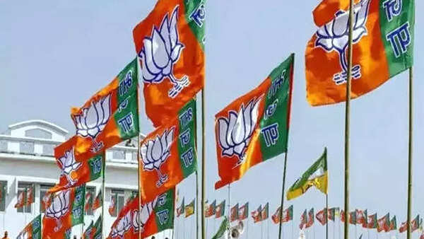 BJP mirrors MP tactic, fields MPs & heavyweights in Chhattisgarh assembly polls