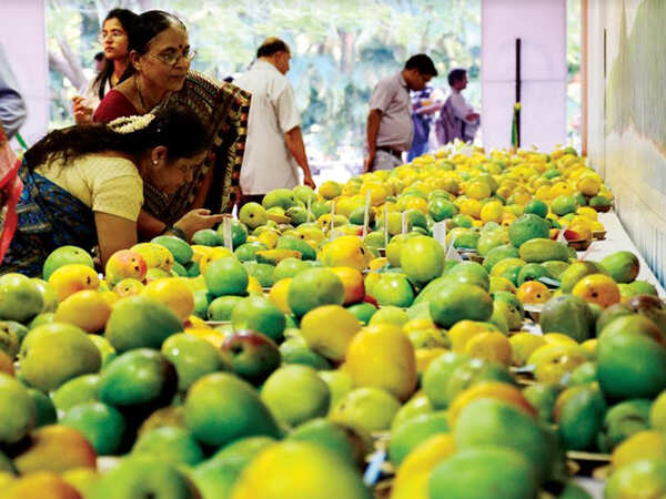 The Jesuits and the Mango
