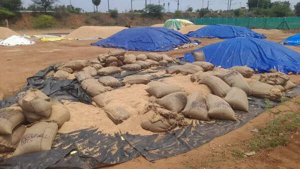 Paddy left exposed in Vadipatti DPC deteriorates in rain