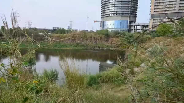 Another tragedy in Noida: 23-year-old student drowns in pit during picnic