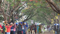 Monsoon may hit Kerala on June 8, says IMD 
