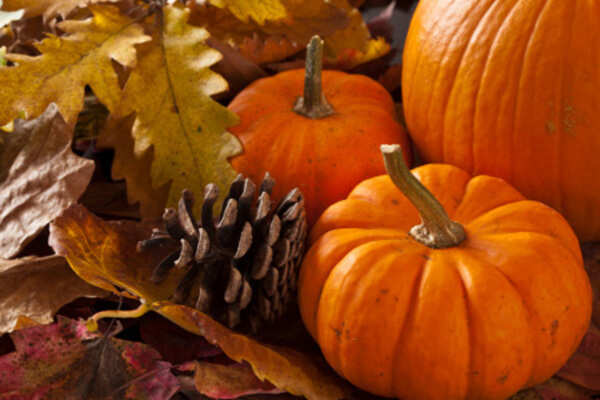 Pumpkins for a beautiful skin