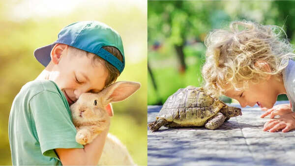 Perfect pet for every age and what they teach kids: Animals that cultivate responsibility, empathy, problem-solving from age 3 to 10 years