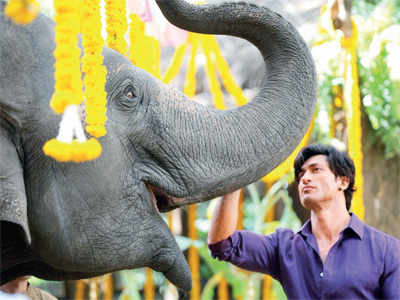 The Vidyut Jammwal-starrer Junglee to release on April 5
