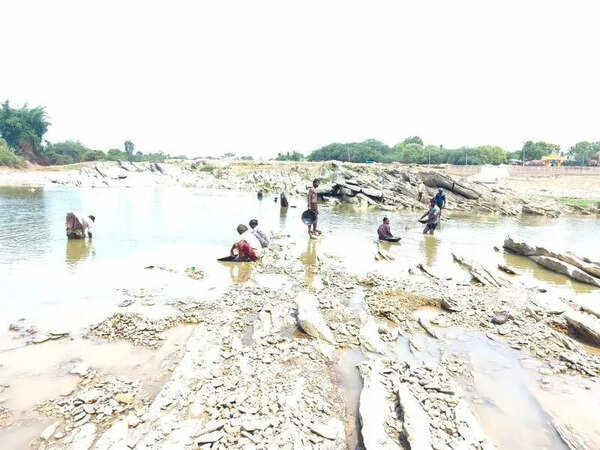 Treasure Hunt: Irular families scour the dry Varada for specs of gold