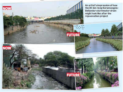 Korean ‘dream’ for Koramangala drain