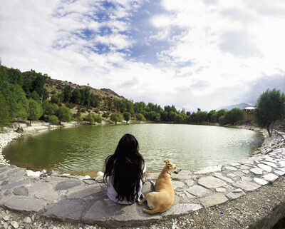 How holidaying with your pet can change your life