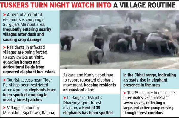 Tusker herds of 14 & 35 trigger alert across Surguja, Raigarh