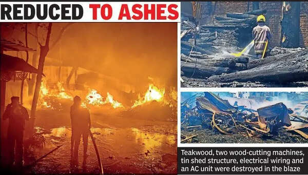 Fire wrecks Kalamna timber yard, losses pegged at 1.3cr