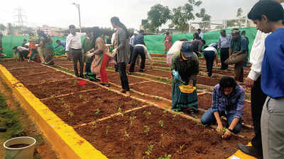 Manyata tech workers get organic break