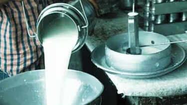 Karnataka hikes milk prices by Rs 8 per litre from Nov 1; farmers to get Rs 7 more