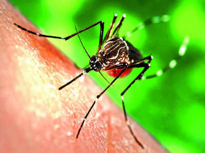 30 dengue hotspots identified within BBMP limits