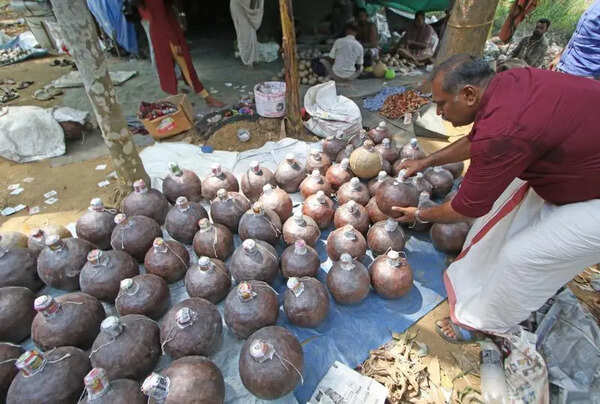 Ban use of gunpowder-based firework celebrations: Kerala Sasthra Sahithya Parishad