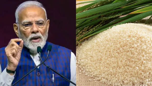 10 traditional Indian foods that PM Modi gifted world leaders during his 5-nation tour