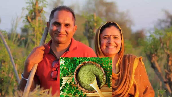 “My blood pressure was 160. It was a wake-up call for me”: How this techie quit a lucrative IT job to build a ₹30-lakh organic brand