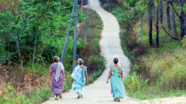 Idukki’s man-animal conflict: The elephant in the room